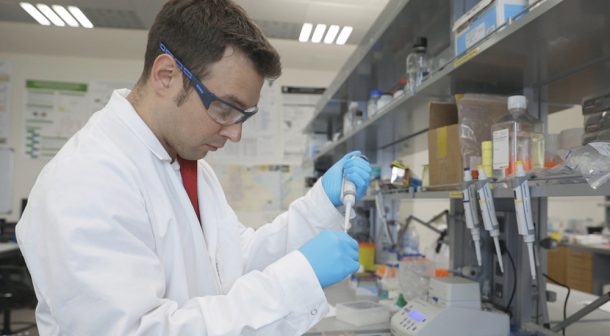 Postdoctoral Associate at the The Evolutionary Genomics Lab at NYUAD