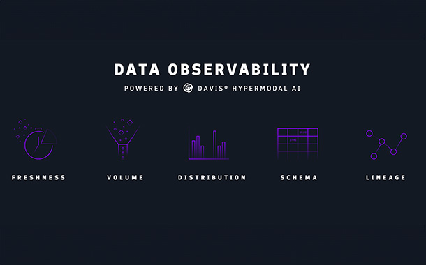 PR-Image-Data-Observability